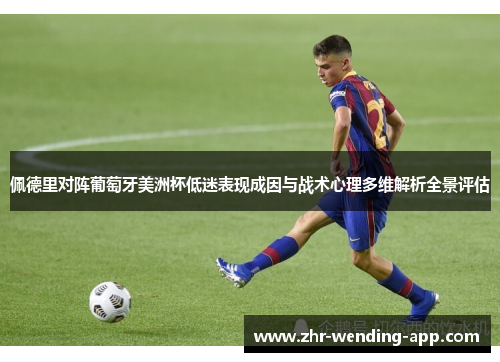 佩德里对阵葡萄牙美洲杯低迷表现成因与战术心理多维解析全景评估